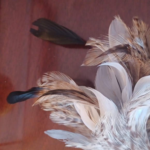 Feather Mohawk Haircomb